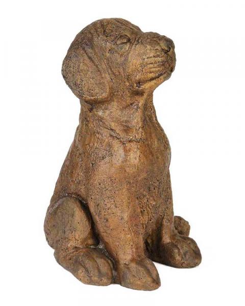 Sitting Lab (Color May Vary)