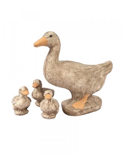 Duck Family