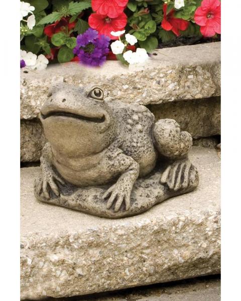 Harry The Frog