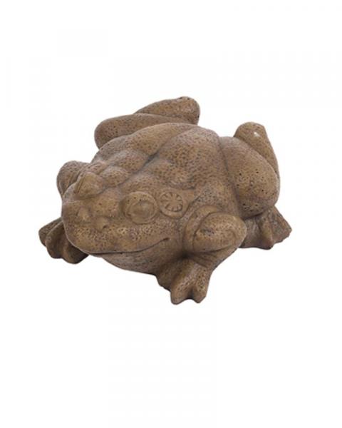 Large Bullfrog (Color May Vary)