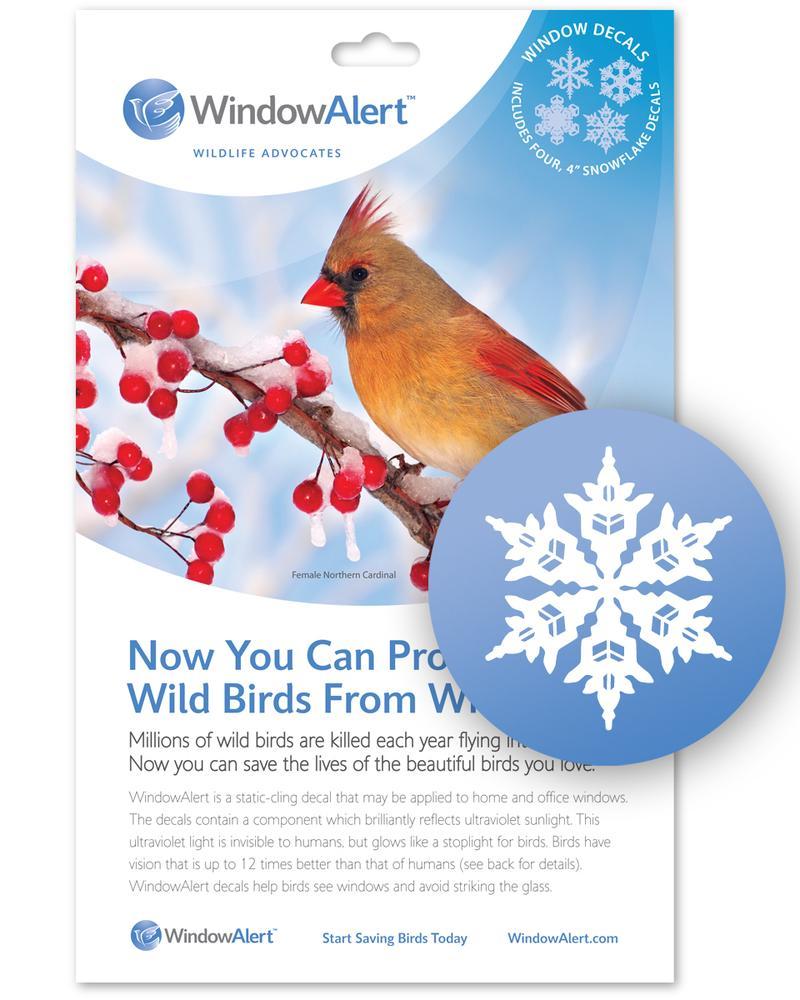 Window Alert Snowflake