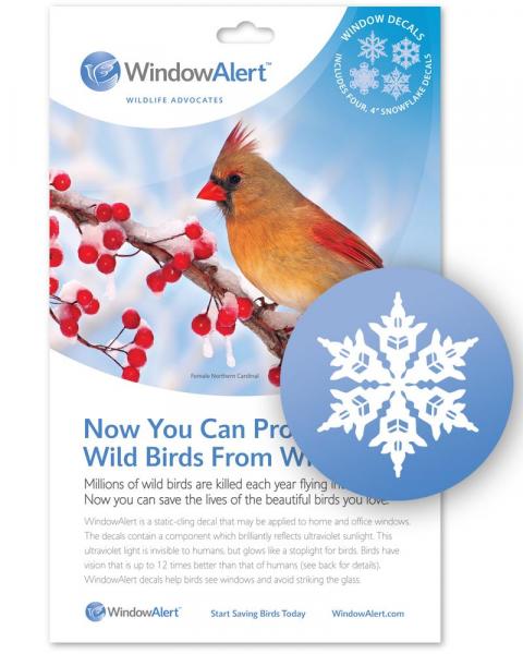 Window Alert Snowflake