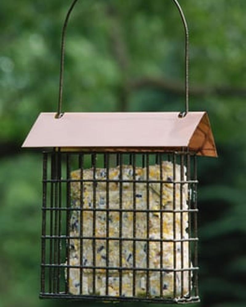 Coppertop Suet Cage Feeder