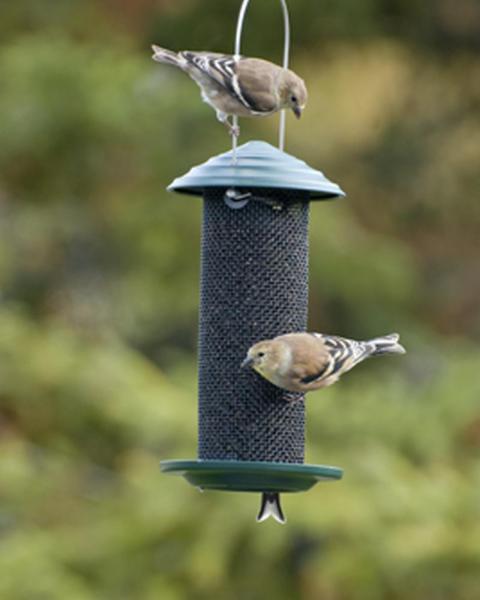 Mini Magnum Thistle Feeder