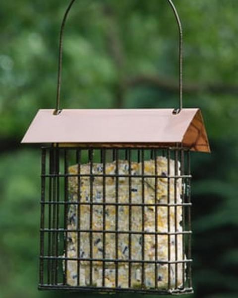 Coppertop Suet Cage Feeder