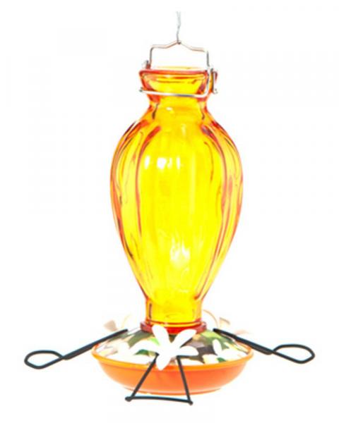Fluted Oriole Feeder