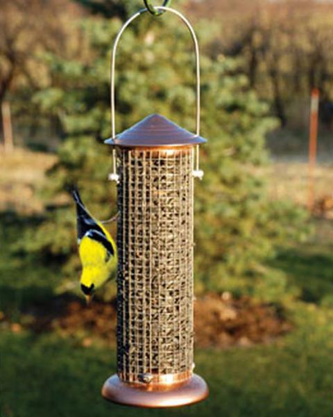 Brushed Copper Mini Sunflower Screen Feeder