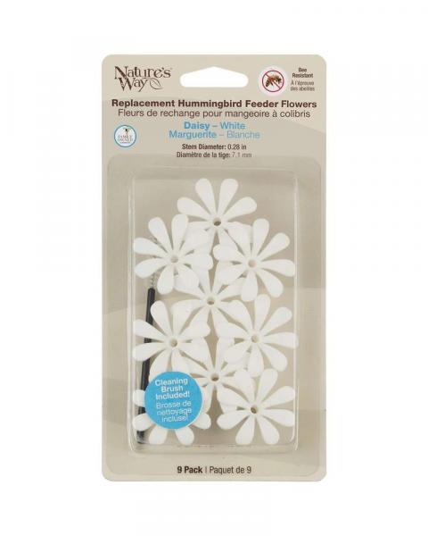 Daisy White Replacement Flowers