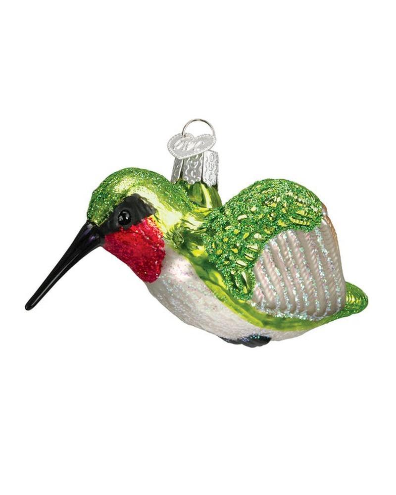 Old World Hummingbird