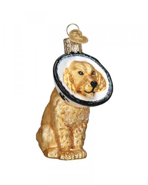 Old World Cone Of Shame Dog