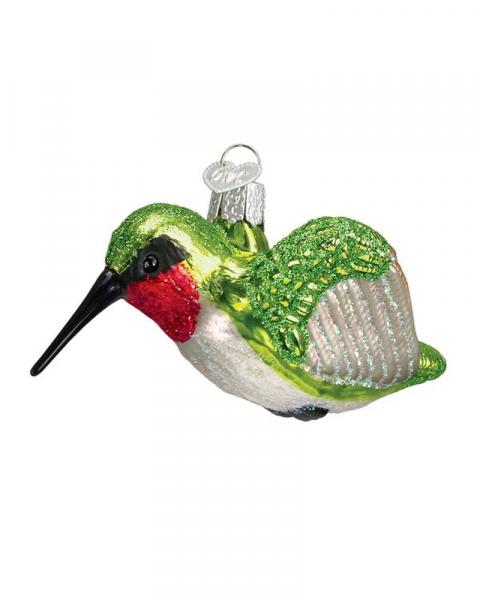 Old World Hummingbird