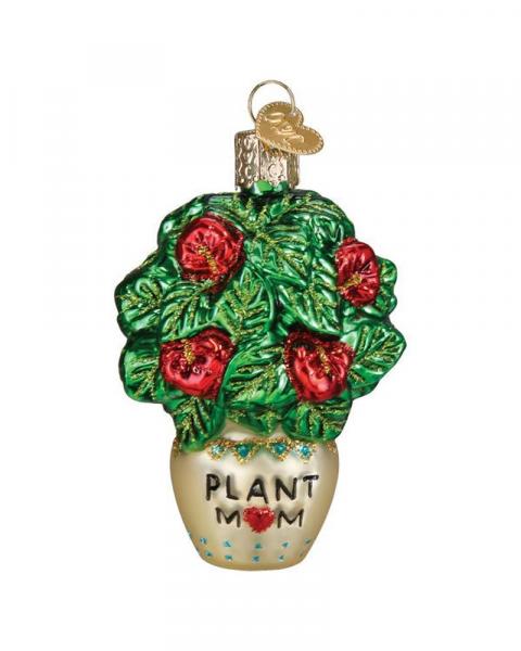Old World Plant Mom