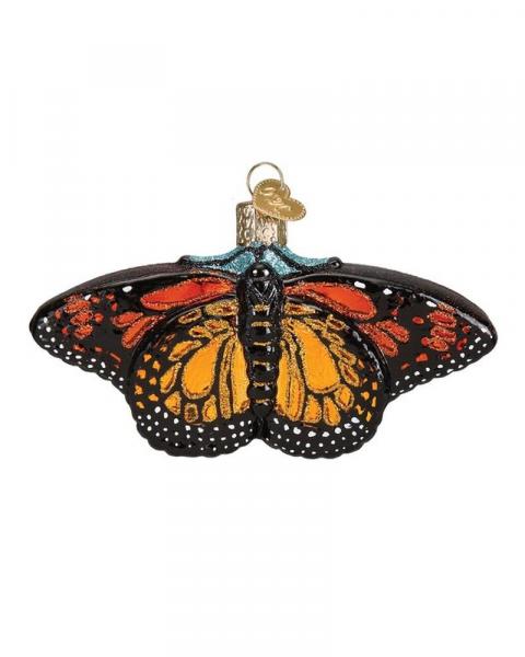 Old World Monarch Butterfly