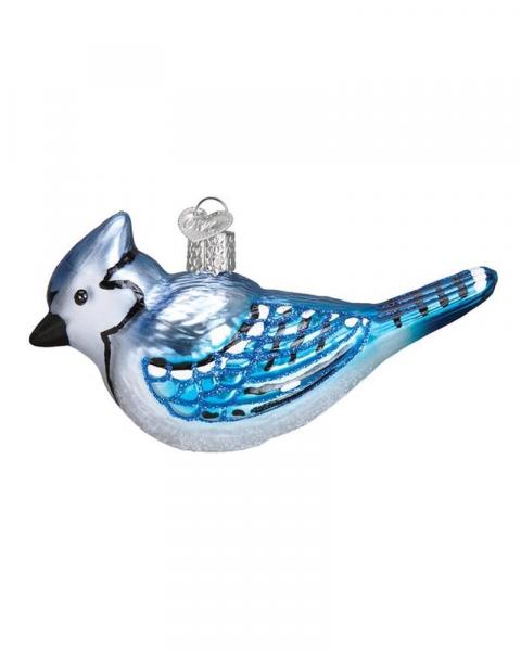 Old World Bright Blue Jay