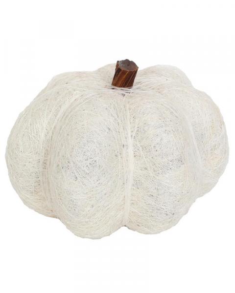 Pumpkin Dried 8" White