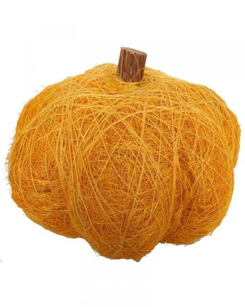 Pumpkin Dried 8" Mustard