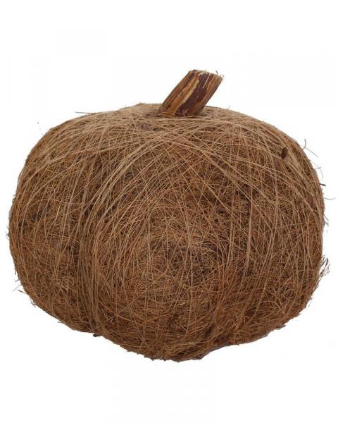 Pumpkin Dried 8" Natural