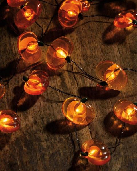 Pumpkin Wire Lights