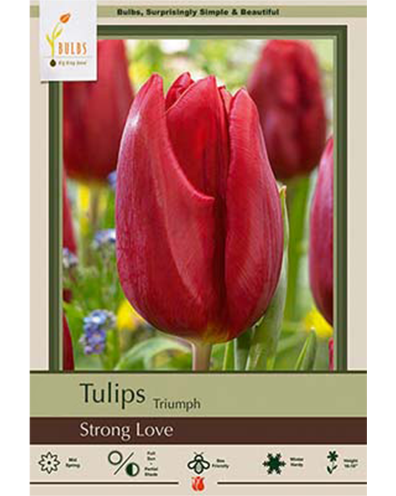 Tulip Tr Strong Love  8/pkg