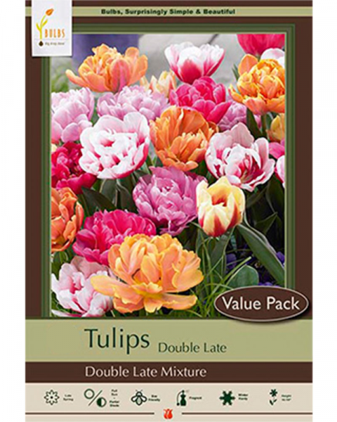 Value Pack Tulip Double Dutch Mix 15 bulbs/pkg