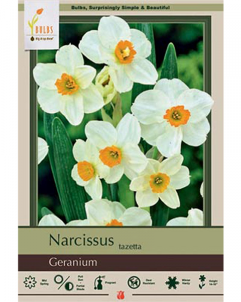 Narcissus Tazetta  Geranium 7 bulbs/pkg