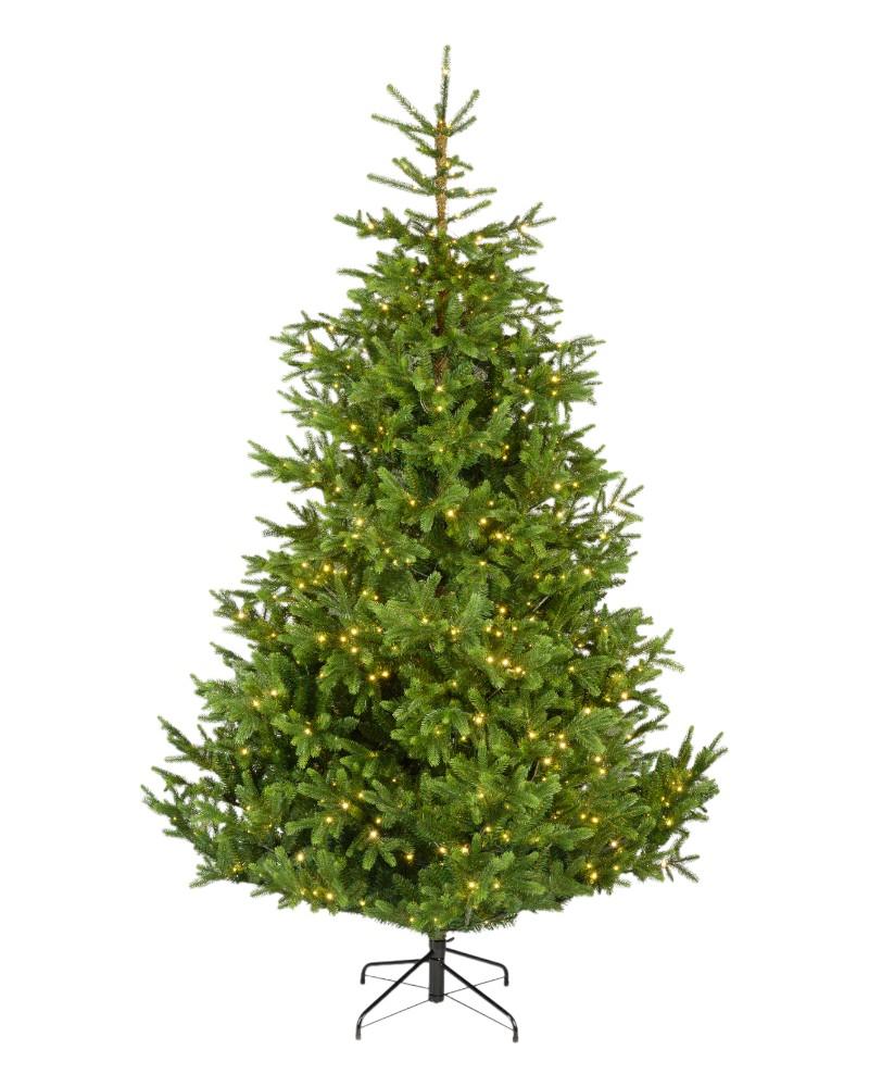 7.5' Nordman Fir With 900 Warm White Micro LED Lights