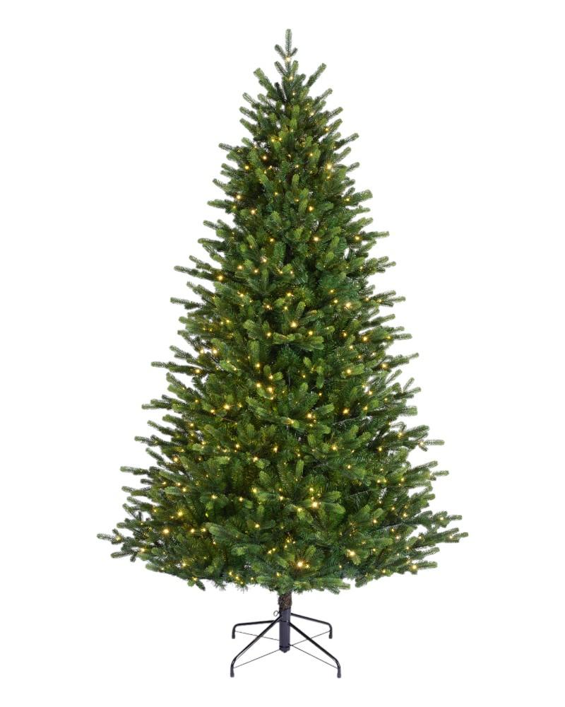 6' Sunpeaks Fir With 650 Warm White Micro LED Lights