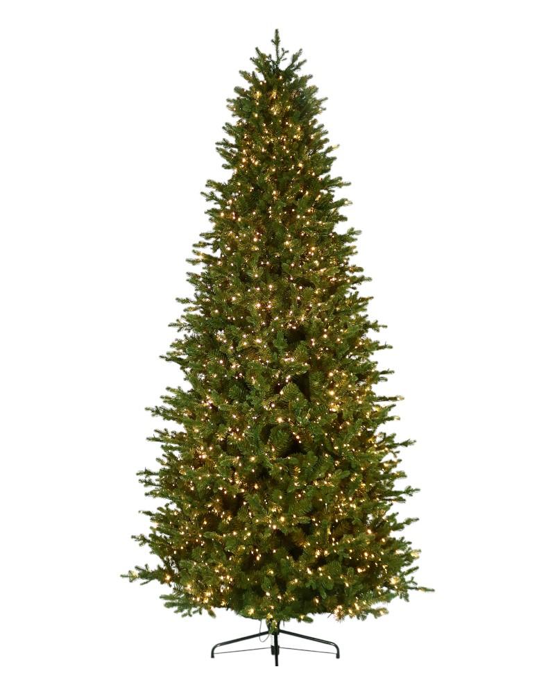 9' Noble Fir With 2500 Color Changing Starry LED Lights