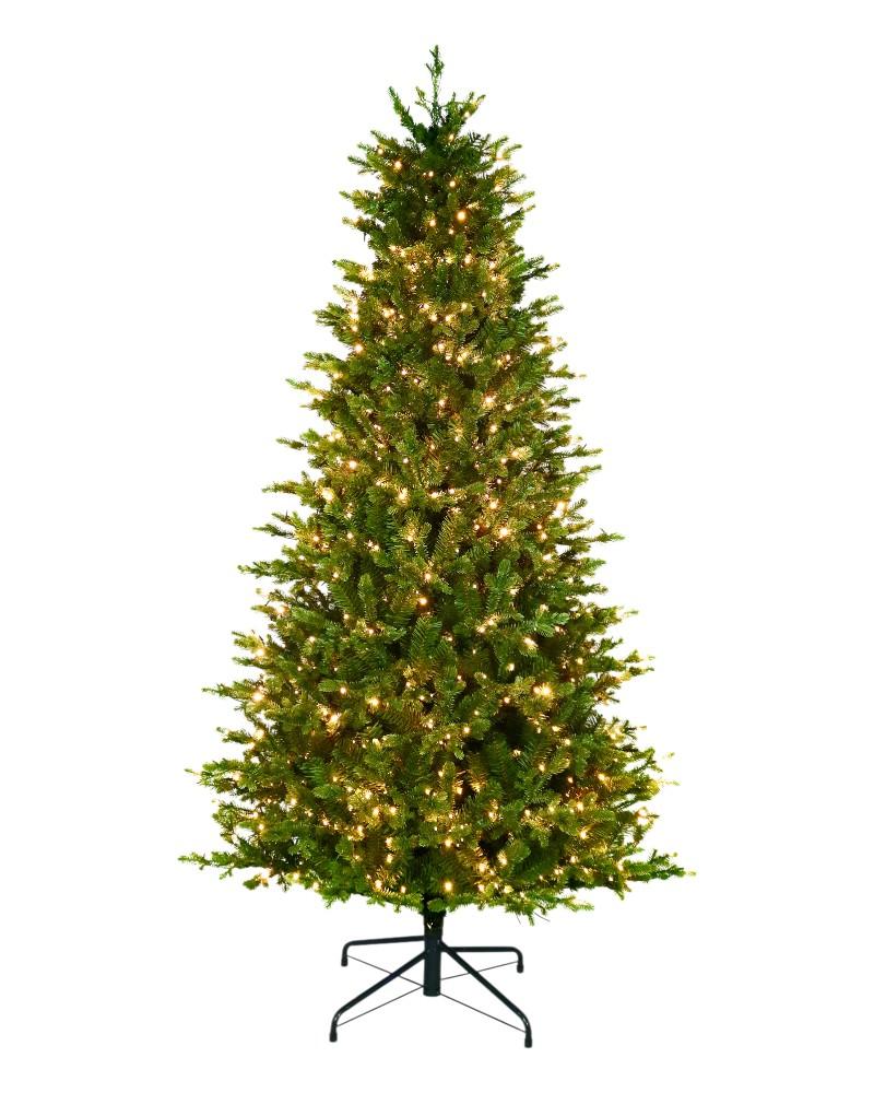 7' Noble Fir With 1000 Color Changing Starry LED Lights