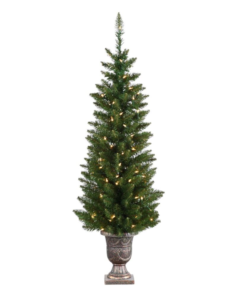 4.5' Normandy Pencil With 100 Warm White LED Lights Potted