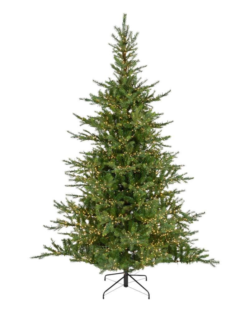 7.5' Grandis Fir With 4600 Warm White Micro LED Lights