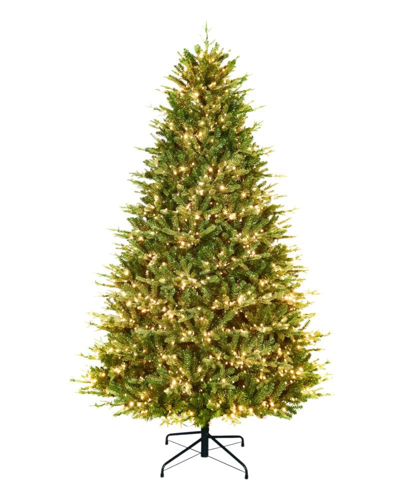 7.5' Royal Northern Fir With 2000 Color Changing Starry LED Lights