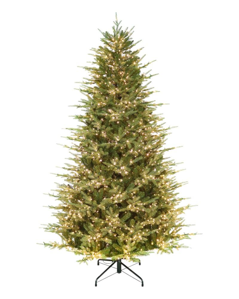 7.5' Kensington Fir With 2000 Color Changing Starry LED Lights