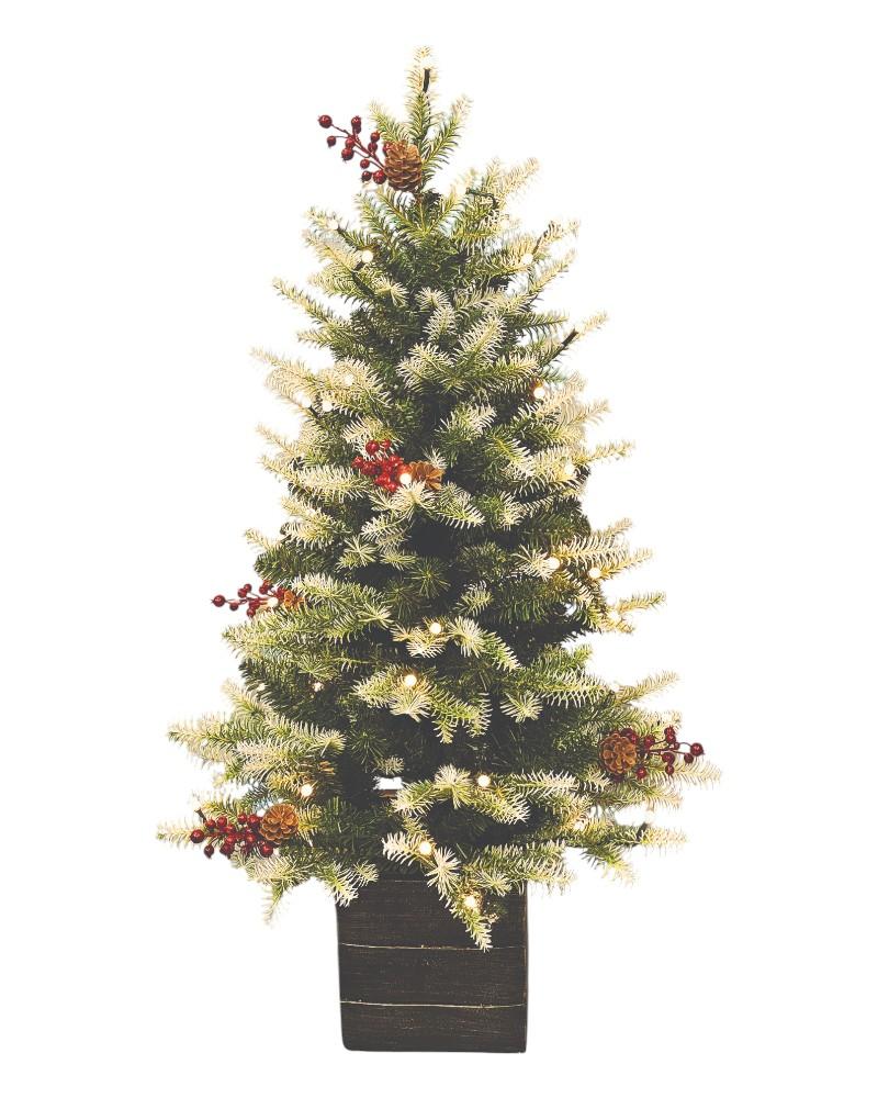 3.5' White-Tipped Green Mountain Fir With 50 Color Changing LED Lights