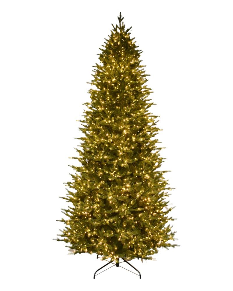 9' Rocky Mountain Fir With 2500 Color Changing Starry LED Lights