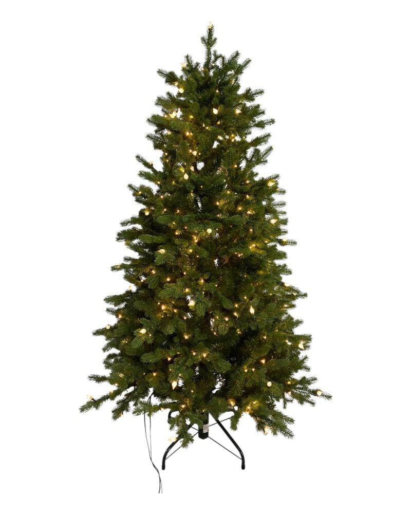 5' Noble Fir With 500 Color Changing Starry LED Lights