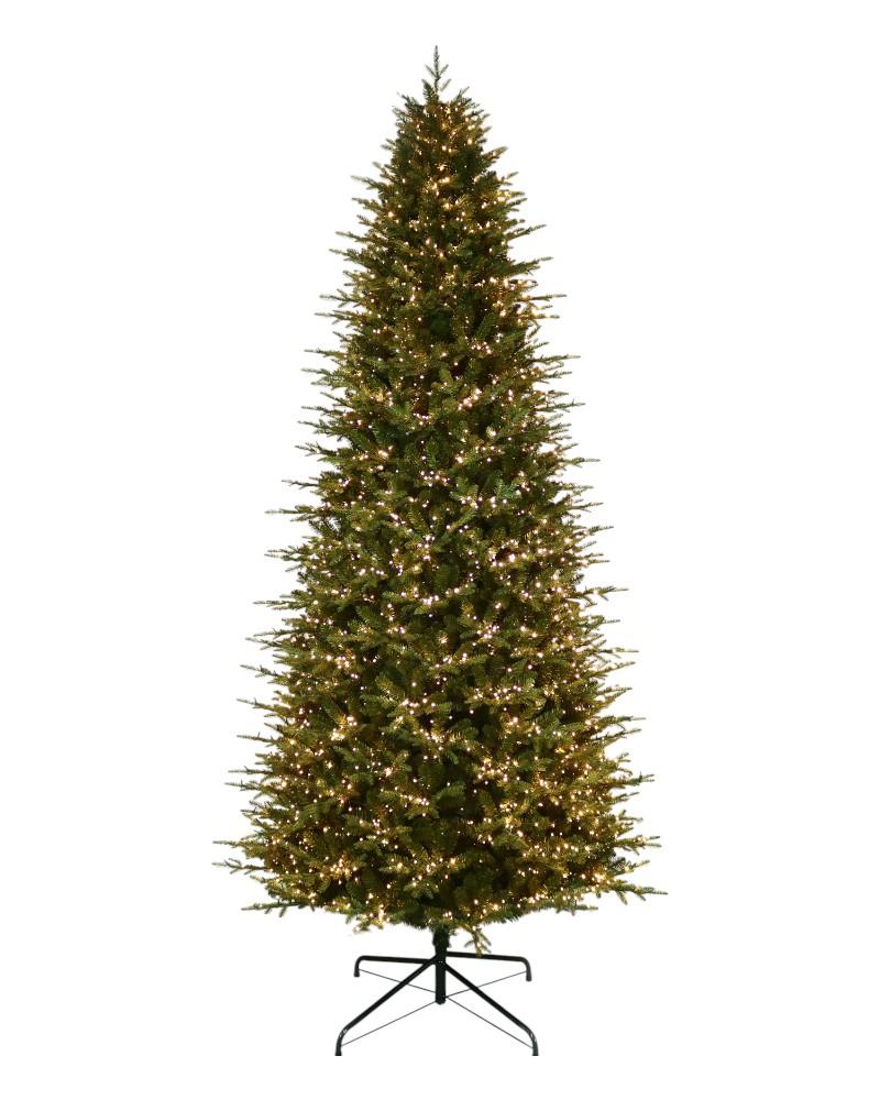 11' Kensington Fir With 3850 Color Changing Starry LED Lights
