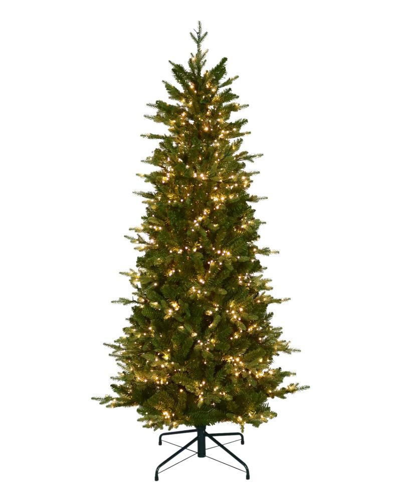 6.5' Alberta Slim Spruce With 800 Color Changing Starry LED Lights