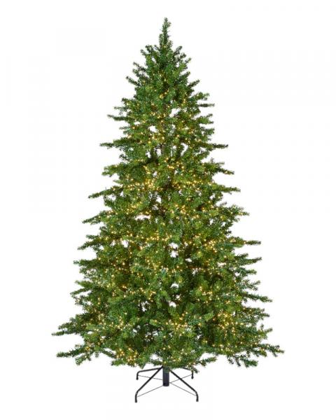7.5' Galloway With 4400 Warm White LED Lights