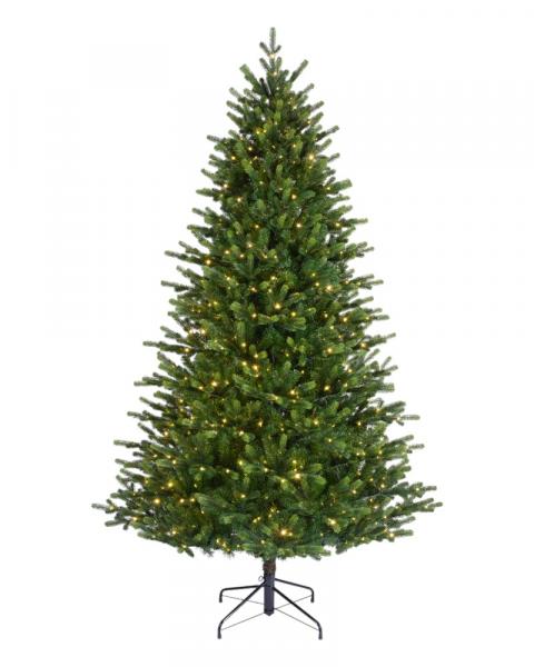 6' Sunpeaks Fir With 650 Warm White Micro LED Lights