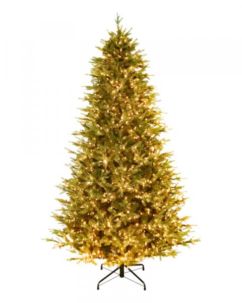 7.5' Rocky Mountain Fir With 2000 Color Changing Starry LED Lights