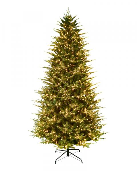 9' Kensington Fir With 2500 Color Changing Starry LED Lights