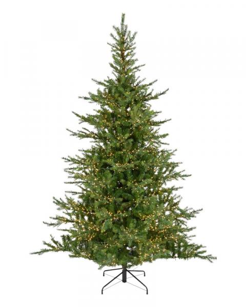 7.5' Grandis Fir With 4600 Warm White Micro LED Lights