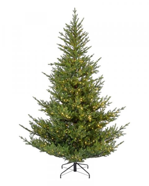 6' Norway Spruce With 700 Warm White Micro LED Lights
