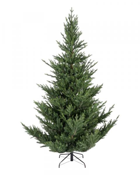 7' Norway Spruce Unlit
