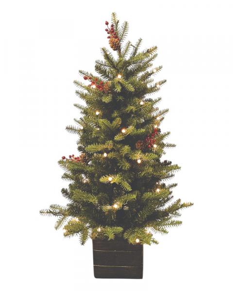 3.5' Green Mountain Fir With 50 Color Changing LED Lights Potted