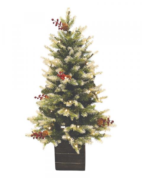 3.5' White-Tipped Green Mountain Fir With 50 Color Changing LED Lights
