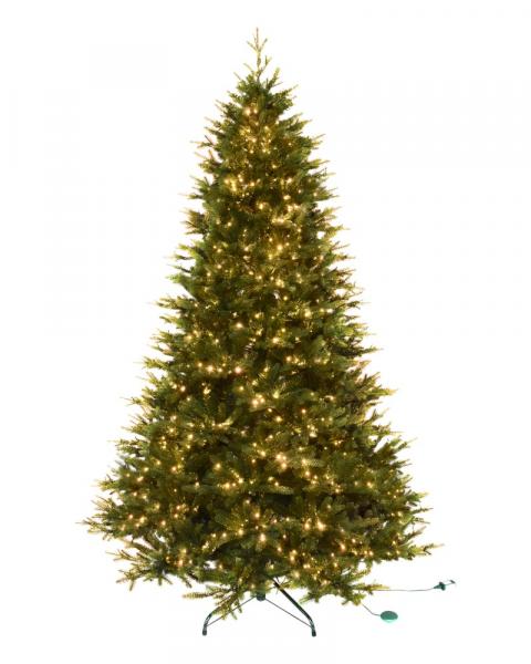 7.5' Fraser Supreme Fir With 1400 Color Changing Starry LED Lights