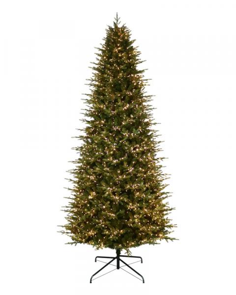11' Kensington Fir With 3850 Color Changing Starry LED Lights