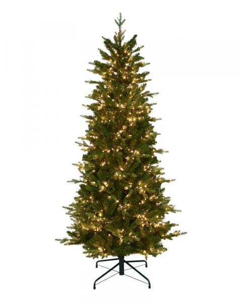 6.5' Alberta Slim Spruce With 800 Color Changing Starry LED Lights